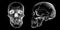 Grunge vector skulls