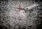 Grunge wall commercial airliner