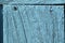 Grunge weathered blue door woodden texture