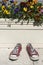 Grunge weathered red sneakers