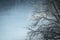 Grunge winter background with a tree and a sky