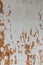 Grunge worn rough background texture with tons of character white plywood