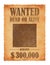 Grunged wanted paper template vector illustration / American Old West