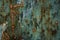 Grungy background metallic rusty surface