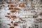 Grungy brown brick texture with dirty white paint