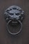 Grungy lion-head knocker door