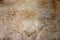 Grungy mottled parchment paper for a background