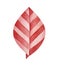 Grungy origami leaf illustration. Red color, front view, one single object.