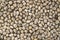 Grungy photo texture of pebble paving, top view background. White pebbles in grey sand top view