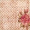 Grungy shabby spotted background with rose
