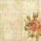 Grungy shabby spotted background with rose