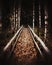 Grungy shot of wooden hiking trail through birch forest