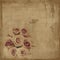 Grungy vintage roses on canvas