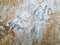 Grungy wall Sandstone surface background