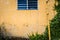 Grungy wall with window, bamboo and greenery.