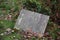 Grungy and wet wooden board lay on ground in garden