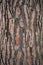 Grungy wood texture