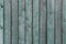 Grungy wood texture. Old shabby fence boards