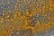 Grungy yellow mold background