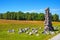 Grunwald, Poland - Grunwald battlefield monument and museum of historic battle between Poland, Lithuania and Teutonic Knights of