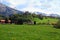 Gruyere Castle and Alps, Switzerland