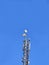 Gsm mobile antenna (antenne), wireless phone pylon, telecom