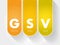 GSV - Gross Sales Value acronym