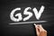 GSV Gross Sales Value - value of all of a business`s sales transactions over a specified period of time without accounting for an