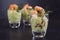 guacamole avocado cream with shrimp or prawn in a glass, appetizer or party snack on a dark slate background with copy