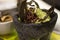 Guacamole with chapulines on molcajete. traditional mexican food