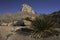 Guadalupe Mountains National Park