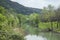 Guadalupe River in the Texas Hill Country during Spring