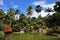 Guadeloupe Deshaies Botanical Garden