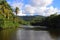 Guadeloupe nature - jungle lagoon