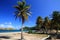 Guadeloupe - perfect beach under palm trees