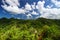 Guajataca Forest Reserve - Puerto Rico