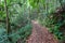 Guajataca Forest Reserve Trail