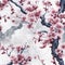 Guan Shanyue\\\'s Traditional Chinese Ink Painting Of Plum Blossoms In Full Bloom