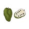 Guanabana fruit, tropical sausep, large green fruit with dark seeds and light flesh