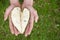 Guanabana heart form in mans hands on green grass background.