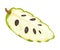 Guanabana or Soursop Fruit Showing Creamy White Flesh and Black Seeds Vector Illustration