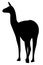 Guanaco Camel Silhouette