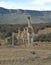 Guanaco Jumping over Fence, Patagonia, Argentina