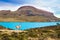 Guanaco that lives in South America