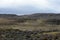 Guanaco near the village of Porvenir in Tierra del Fuego.