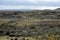 Guanaco near the village of Porvenir in Tierra del Fuego.