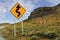 Guanaco standing close to road sign in Torres Del Paine