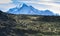 Guanacos grazing,Torres del Paine