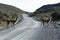 Guanacos grazing,Torres del Paine National Park,