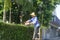 Guangdong Zhongshan, China: a worker pruning branches